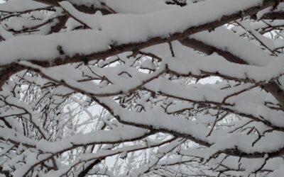 Before Winter Was Marketed: The Sacred Work of Samhain