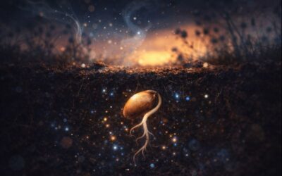 The problem isn’t you — it’s the timing. Why January asks for rest, not reinvention.